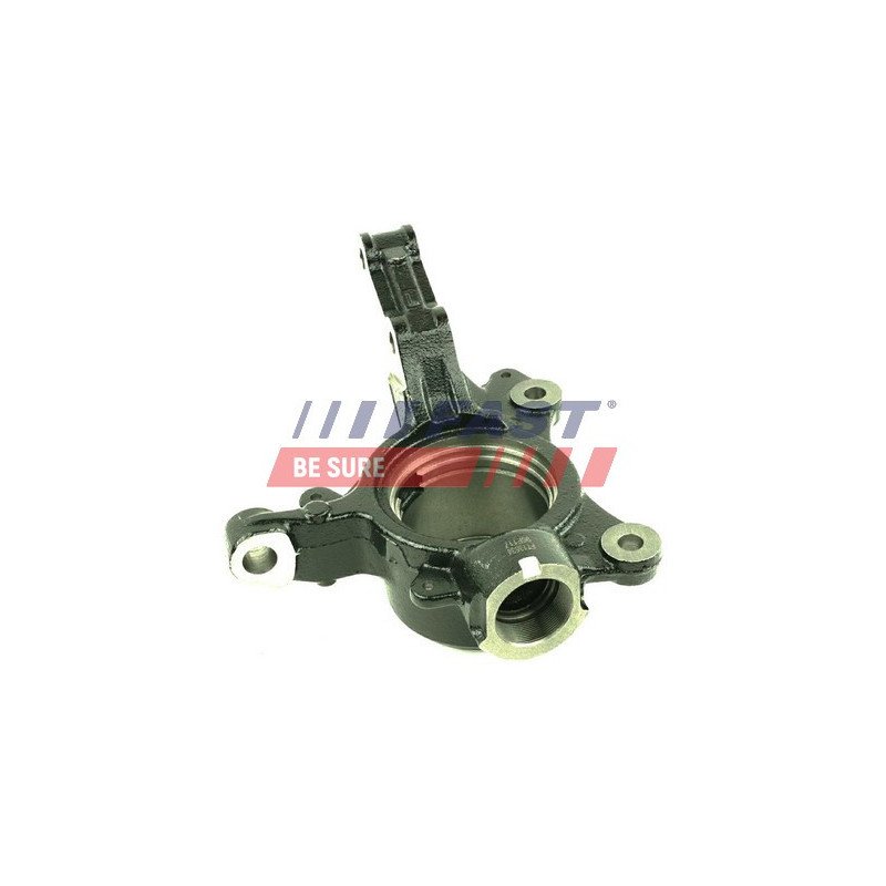 FT13534 Steering Knuckle, wheel suspension