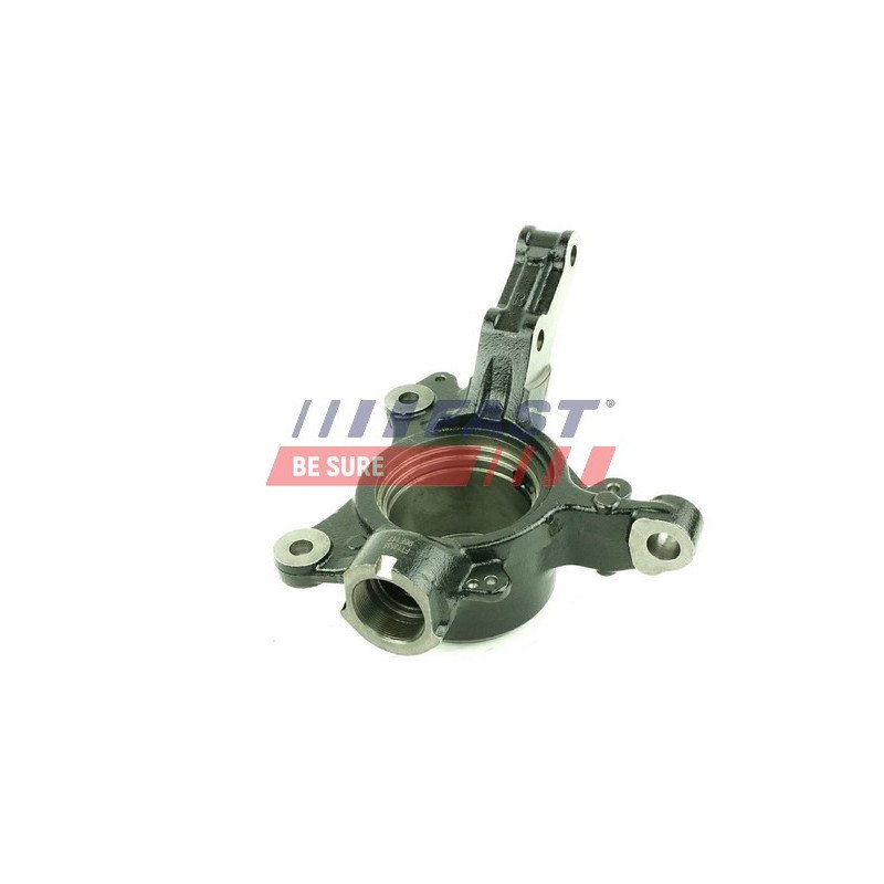 FT13535 Steering Knuckle, wheel suspension