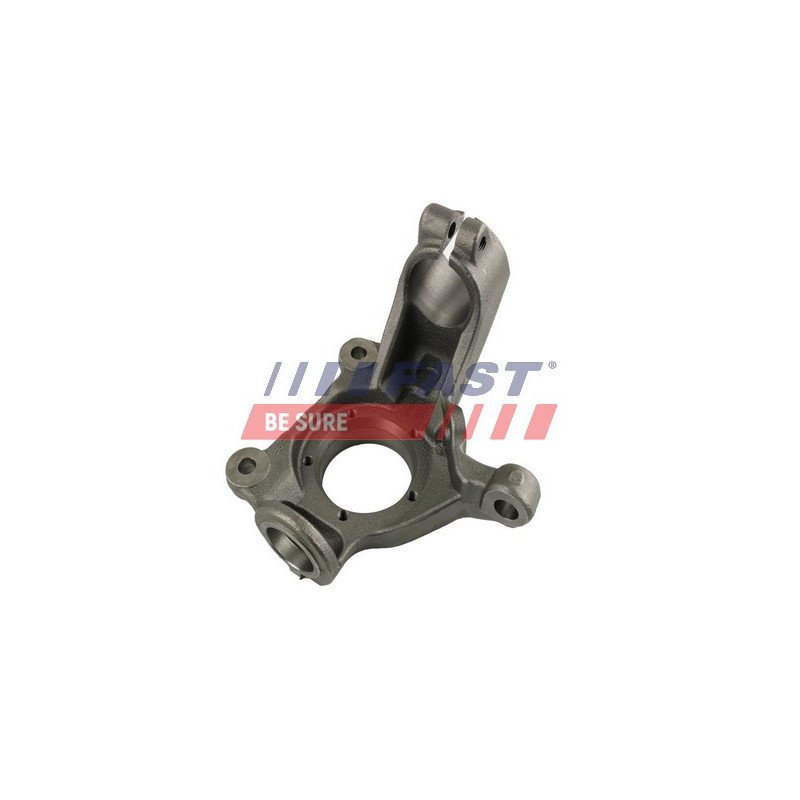 FT13549 Steering Knuckle, wheel suspension