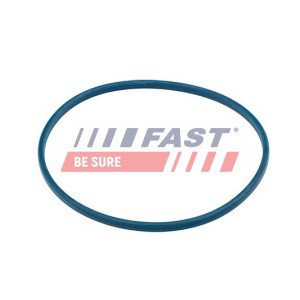 FT48504 Seal, fuel filler neck