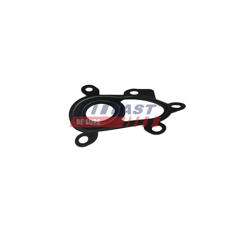 FT48805 Gasket, exhaust manifold