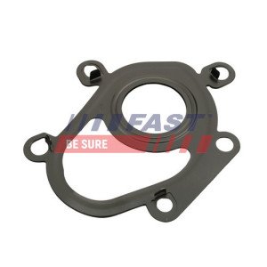 FT48806 Gasket, charger