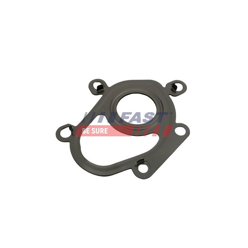 FT48806 Gasket, charger