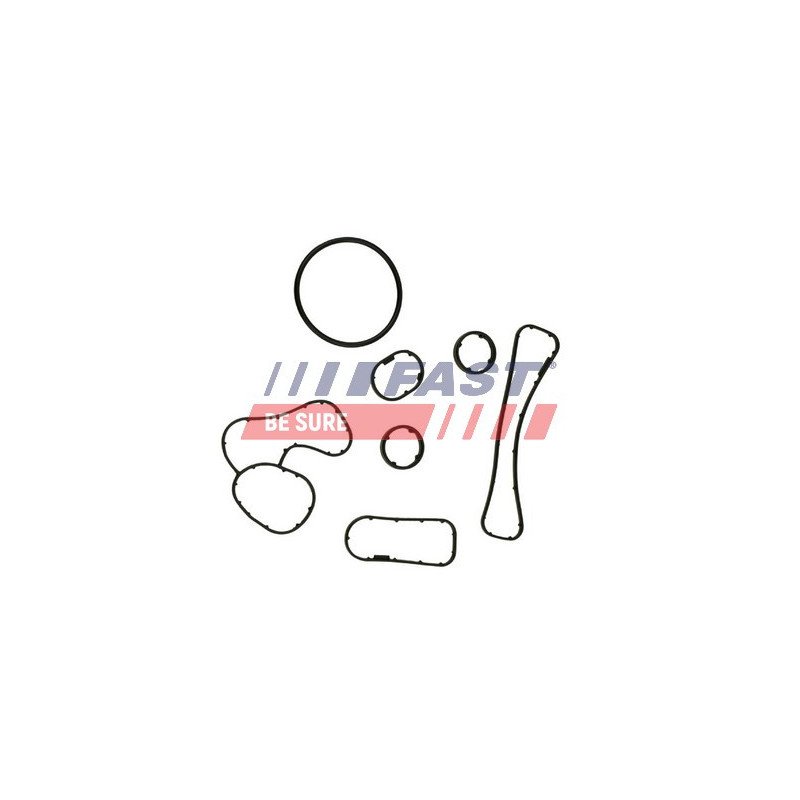 FT48930 Gasket Set, oil cooler