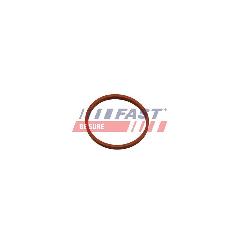FT48932 Dichtring, laadluchtslang