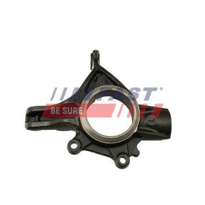 FT13553 Steering Knuckle, wheel suspension