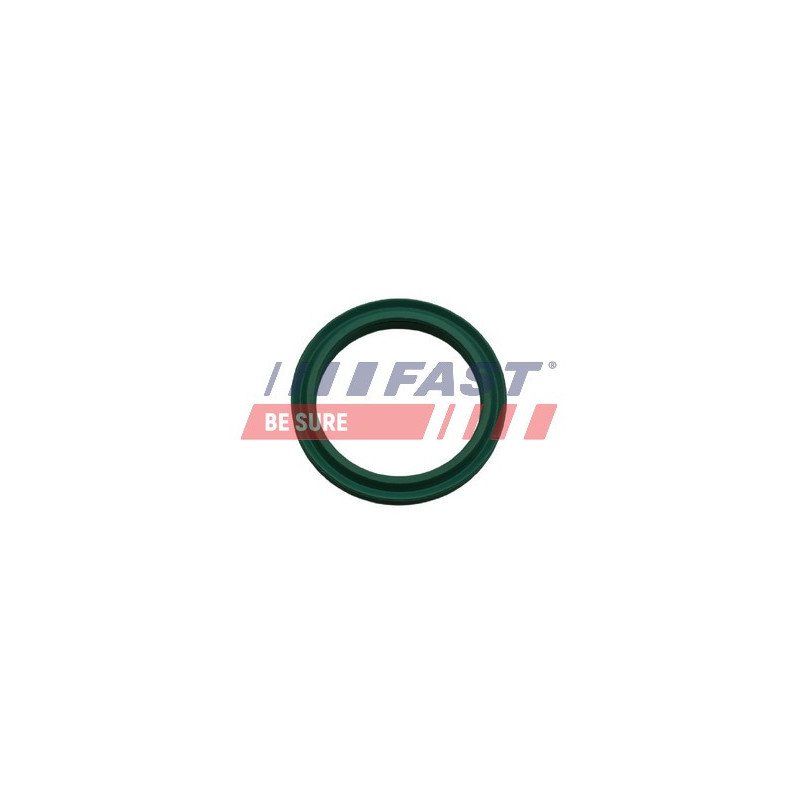 FT48933 Seal Ring, charge air hose