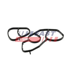 FT48934 Gasket, oil filter housing