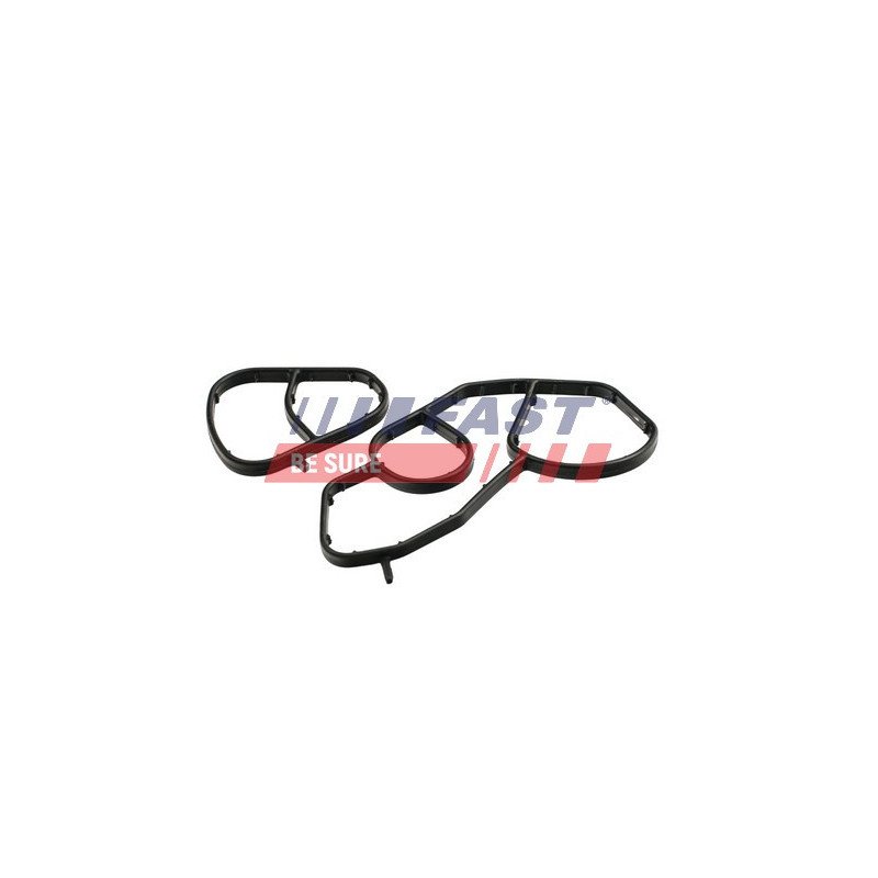 FT48934 Gasket, oil filter housing