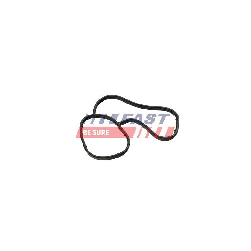 FT48941 Gasket, oil cooler