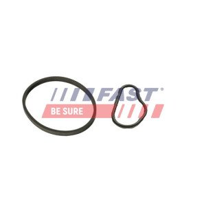 FT48943 Gasket, vacuum pump