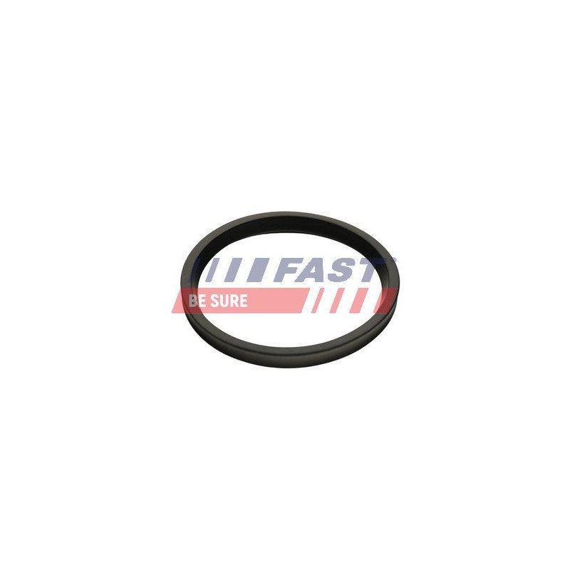 FT48947 Seal Ring, charge air hose