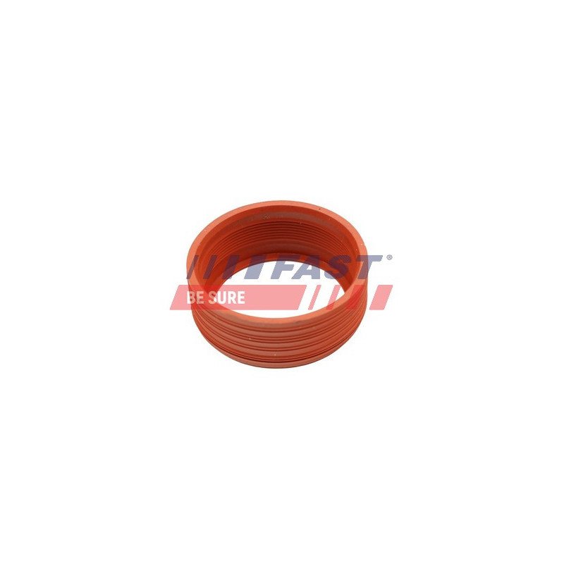 FT48948 Dichtring, laadluchtslang