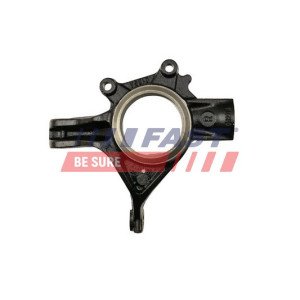 FT13554 Steering Knuckle, wheel suspension