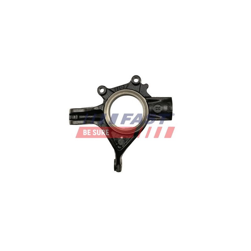 FT13554 Steering Knuckle, wheel suspension