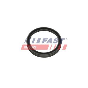 FT48956 Seal Ring, charge air hose
