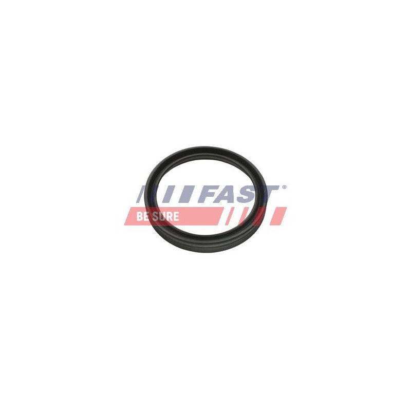 FT48956 Seal Ring, charge air hose