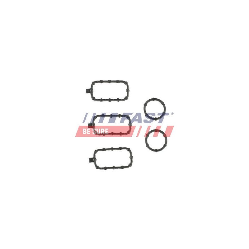 FT49001 Gasket Set, cylinder head cover