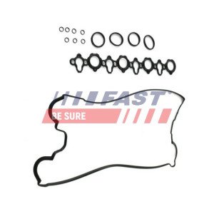 FT49003 Gasket, cylinder head cover