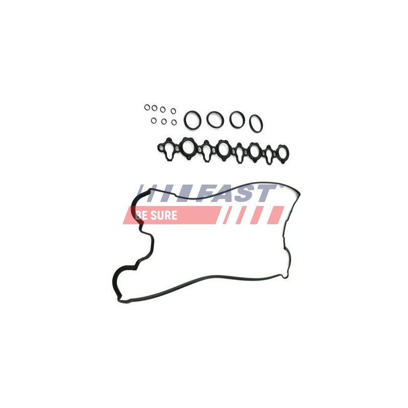 FT49003 Gasket, cylinder head cover