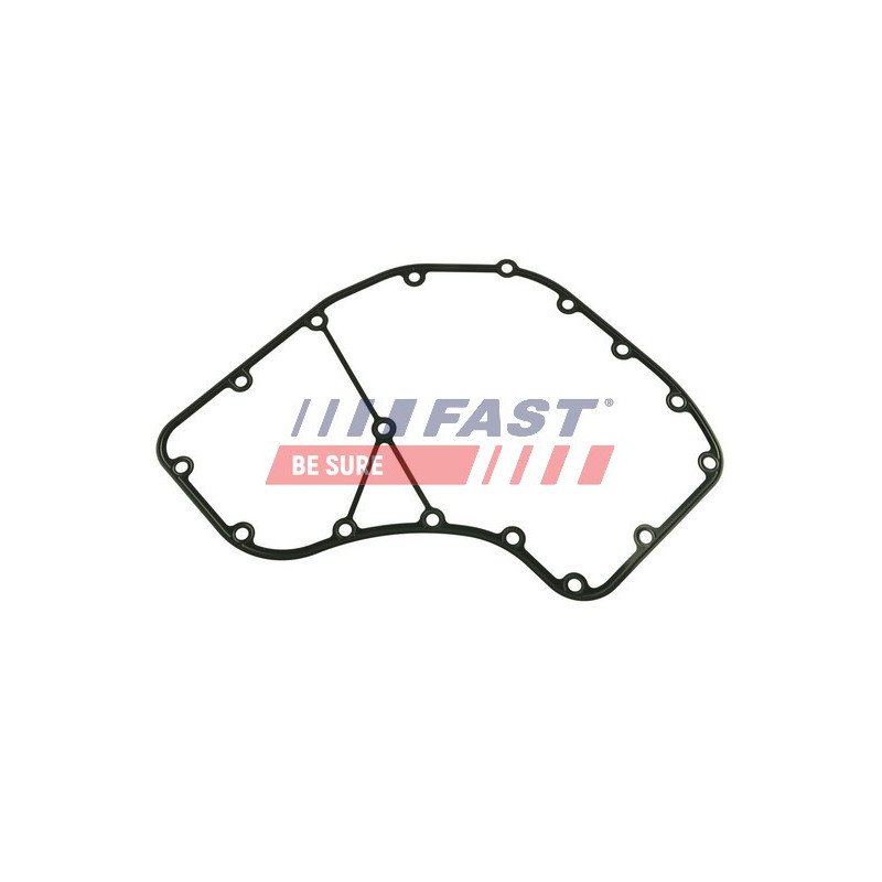 FT49064 Gasket, timing case