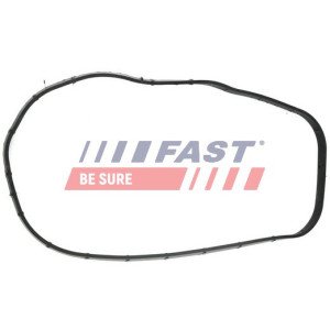 FT49065 Gasket, timing case