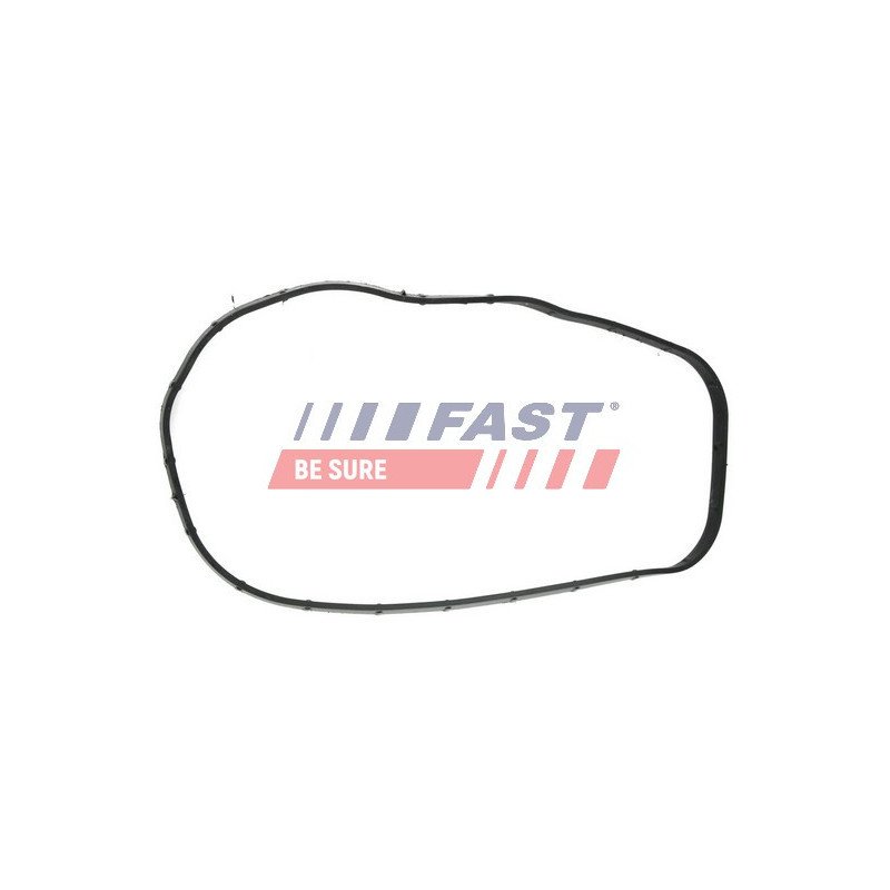 FT49065 Gasket, timing case