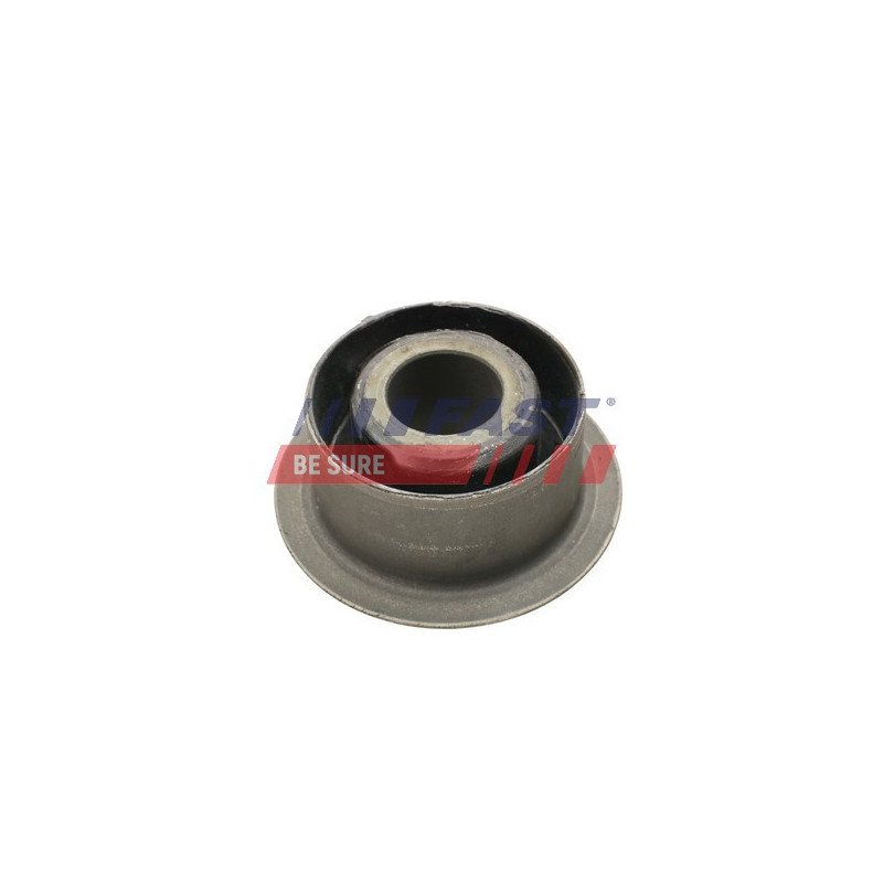 FT13701 Bushing, leaf spring