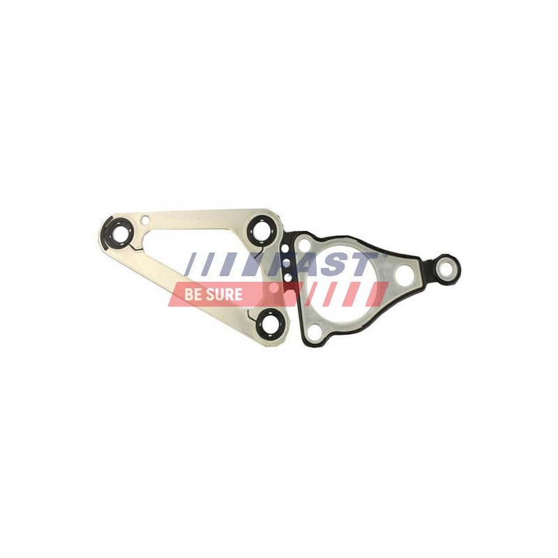 FT49074 Gasket, timing case