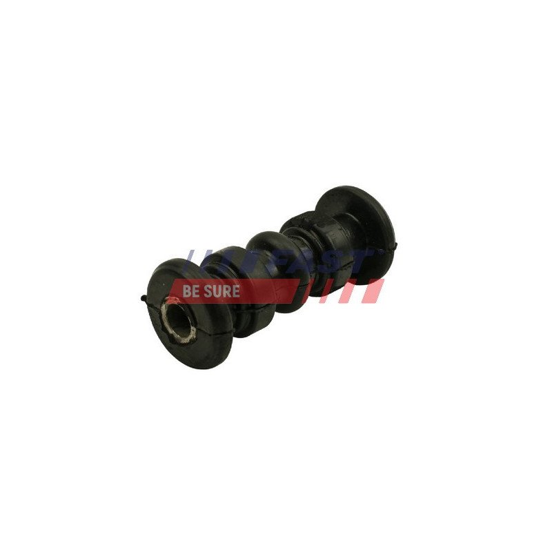 FT13703 Bushing, leaf spring