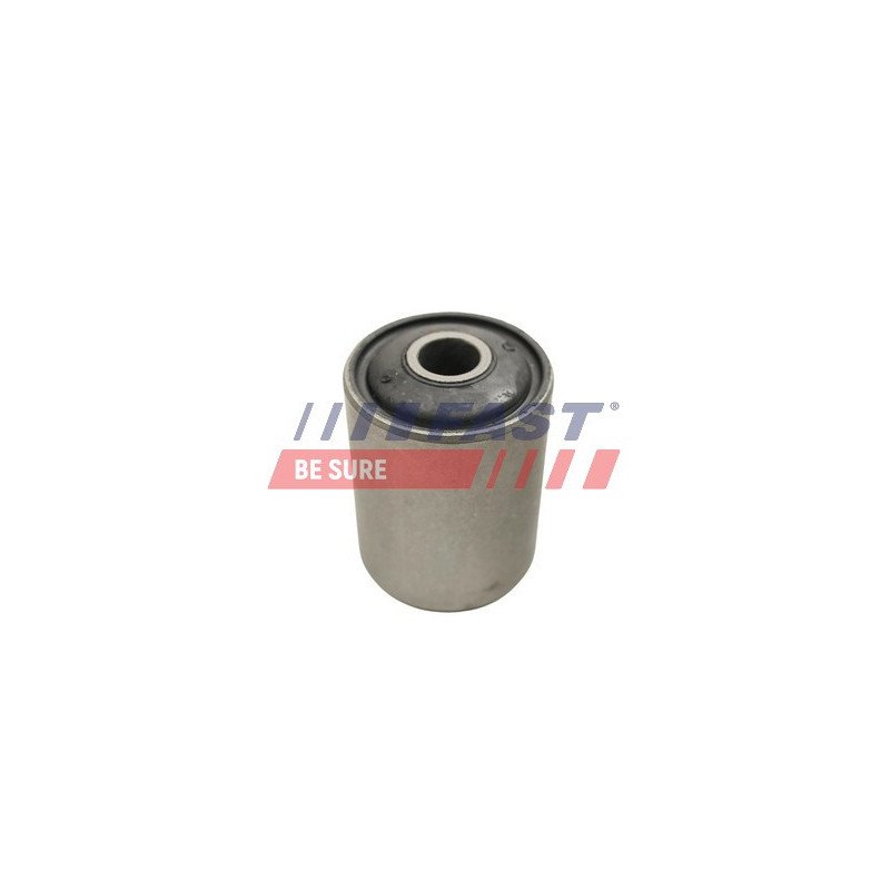FT13705 Bushing, leaf spring
