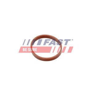 FT49418 Gasket, intake manifold