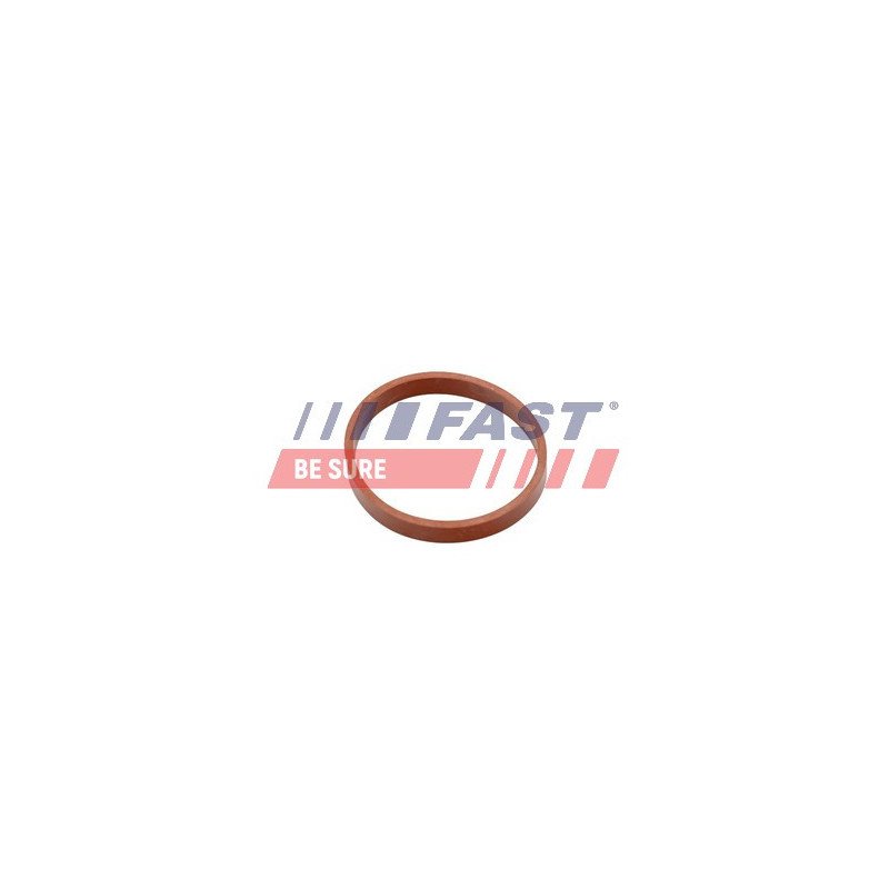 FT49418 Gasket, intake manifold