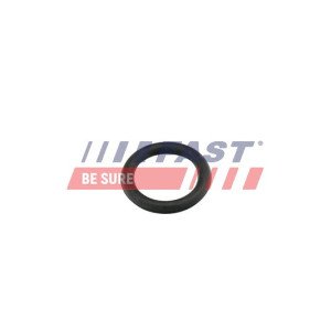 FT49419 Gasket, intake manifold