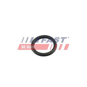 FT49420 Gasket, intake manifold