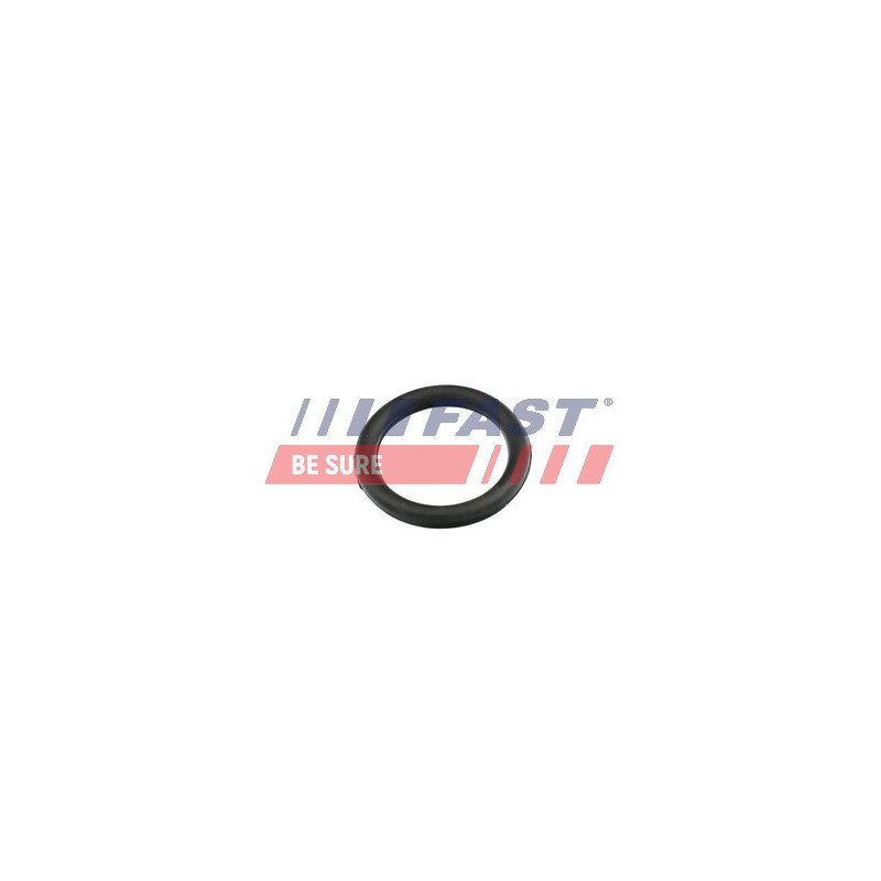 FT49420 Gasket, intake manifold