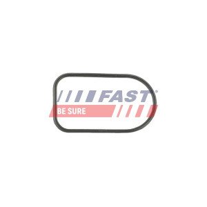 FT49425 Gasket, intake manifold