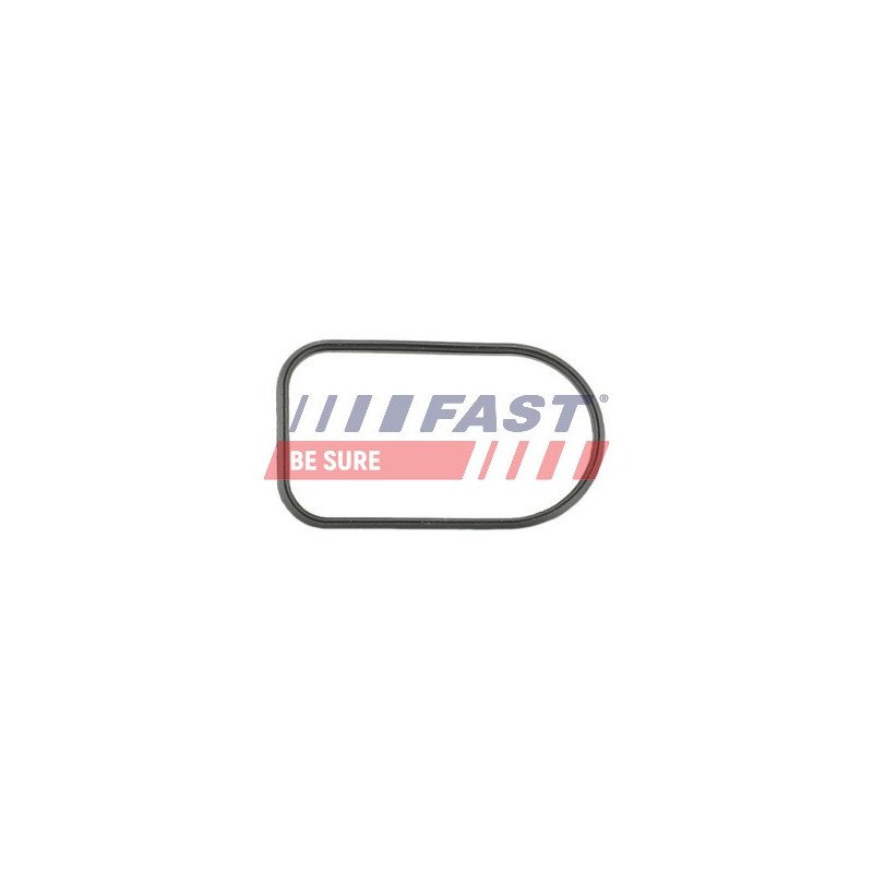FT49425 Gasket, intake manifold