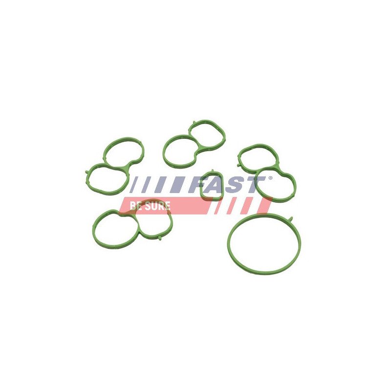 FT49455 Gasket, intake manifold