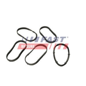 FT49456 Gasket, intake manifold