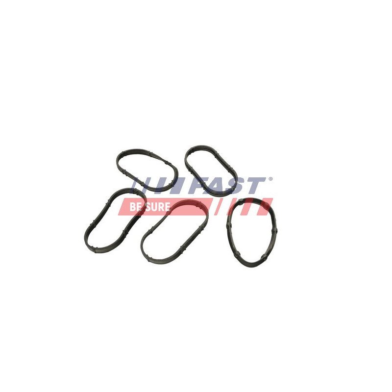 FT49456 Gasket, intake manifold