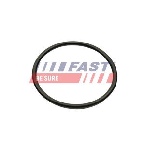 FT49460 Gasket, intake manifold