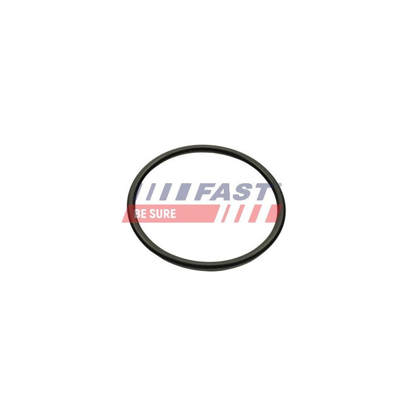 FT49460 Gasket, intake manifold
