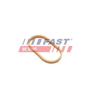 FT49461 Gasket, intake manifold