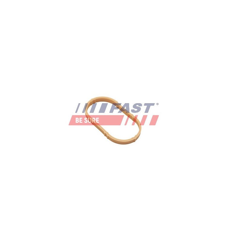 FT49461 Gasket, intake manifold