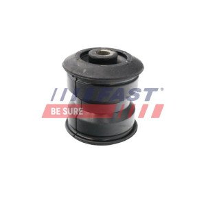 FT13706 Bushing, leaf spring