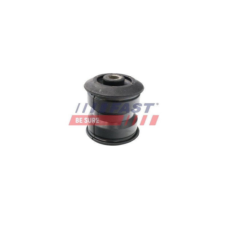 FT13706 Bushing, leaf spring