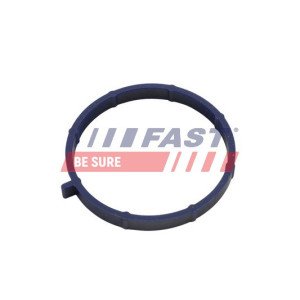 FT49467 Gasket, intake manifold