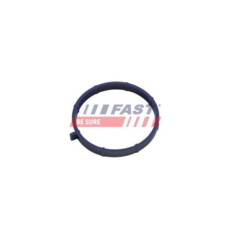 FT49467 Gasket, intake manifold