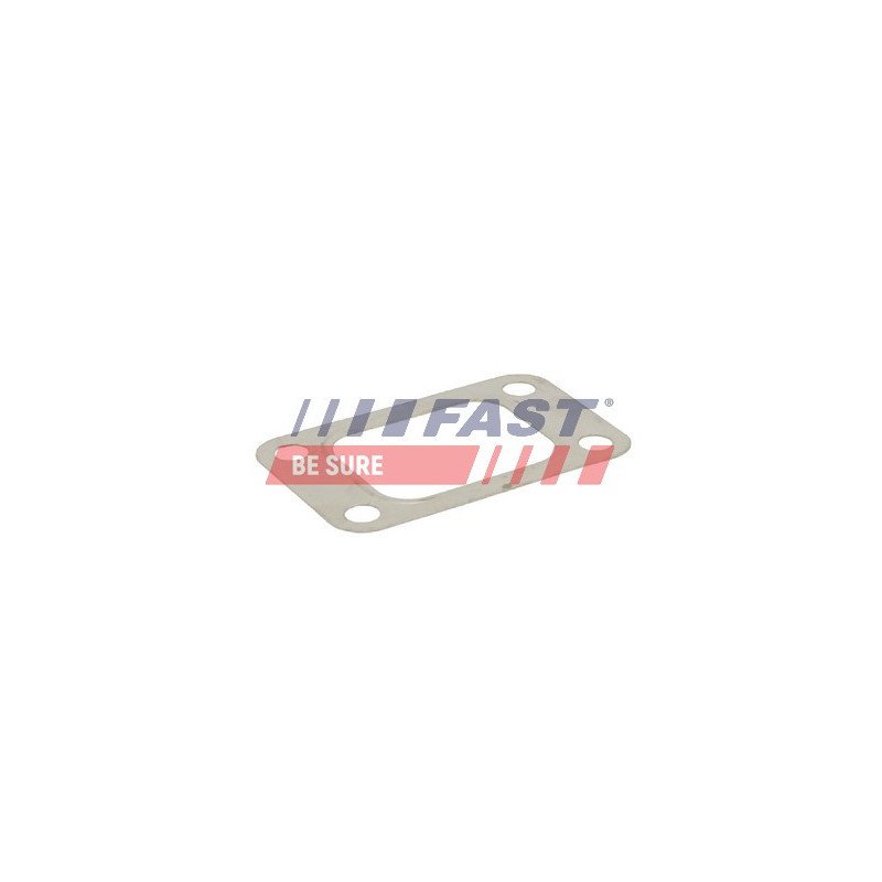 FT49519 Gasket, charger